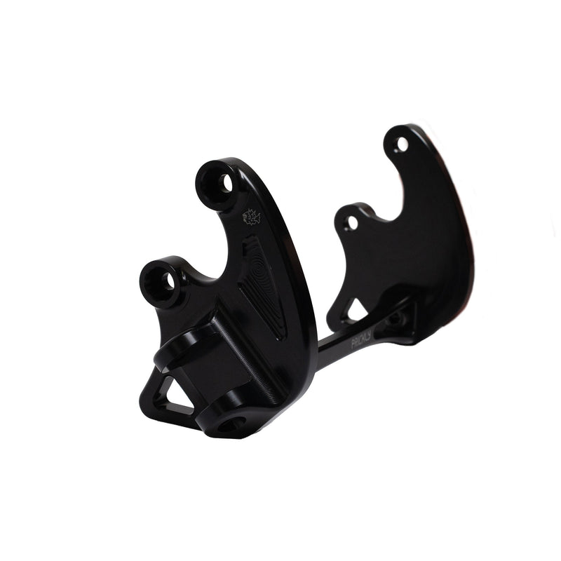 Prickly Footpeg Brackets Prickly Motorsports