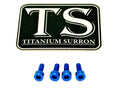 E-Ride Pro Display Protector Titanium Bolts Titanium Surron