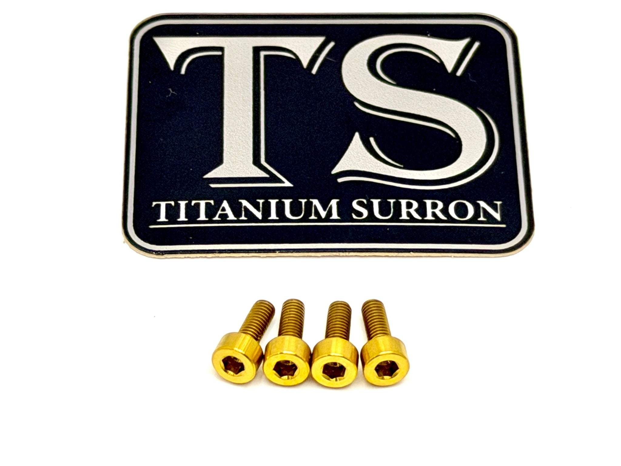 E-Ride Pro Display Protector Titanium Bolts Titanium Surron