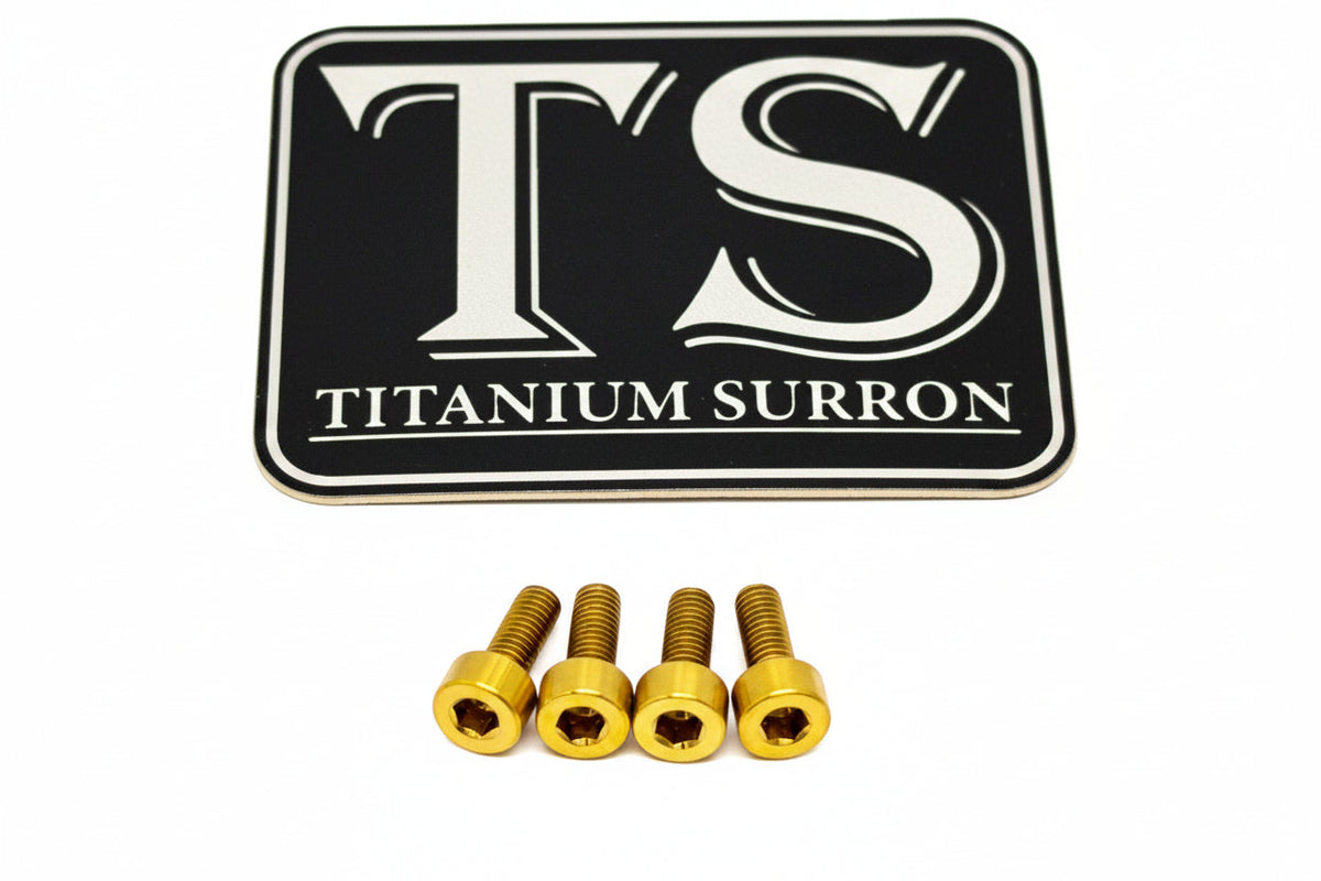 E-Ride Pro Display Protector Titanium Bolts Titanium Surron