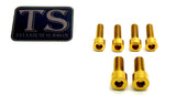 E-Ride Pro (all models) Titanium Stem Bolt Kit - Riot Racing