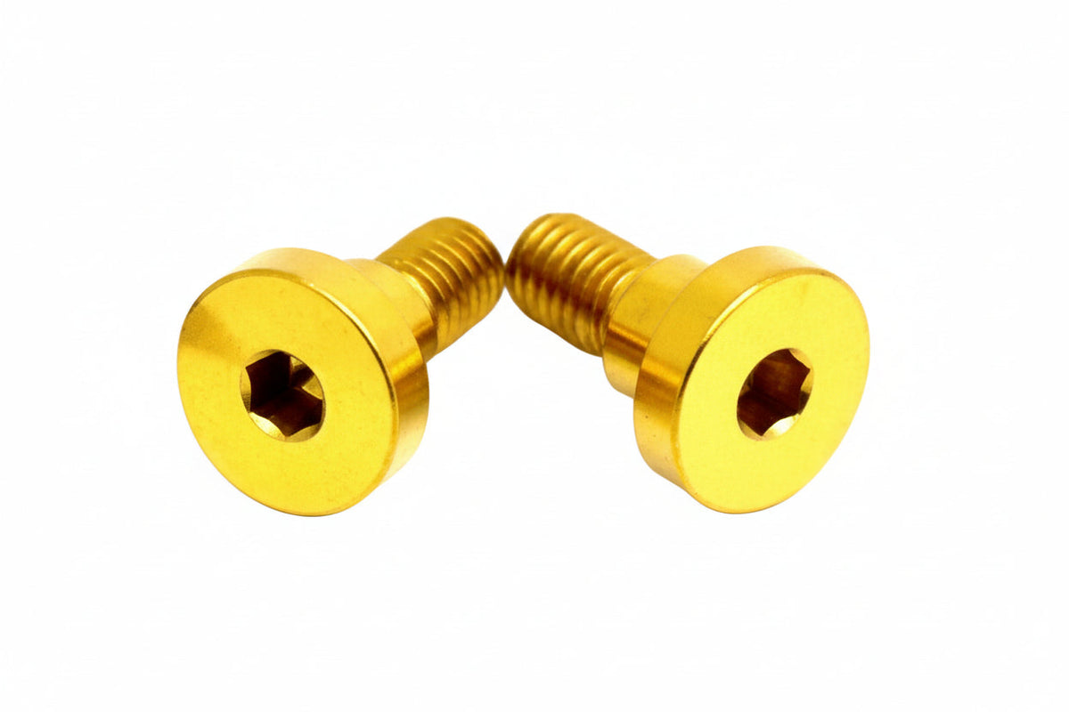 Titanium Battery Lid Bolts - E-Ride Pro -  (Two Pcs) Titanium Surron