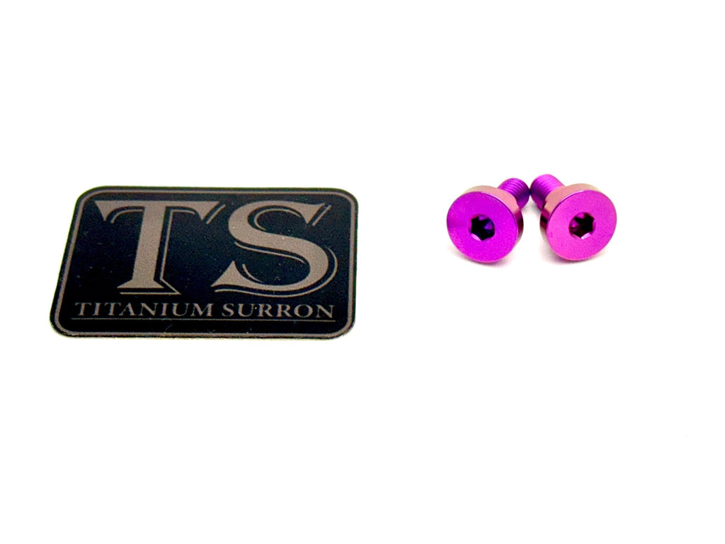 Titanium Battery Lid Bolts - E-Ride Pro -  (Two Pcs) - Riot Racing