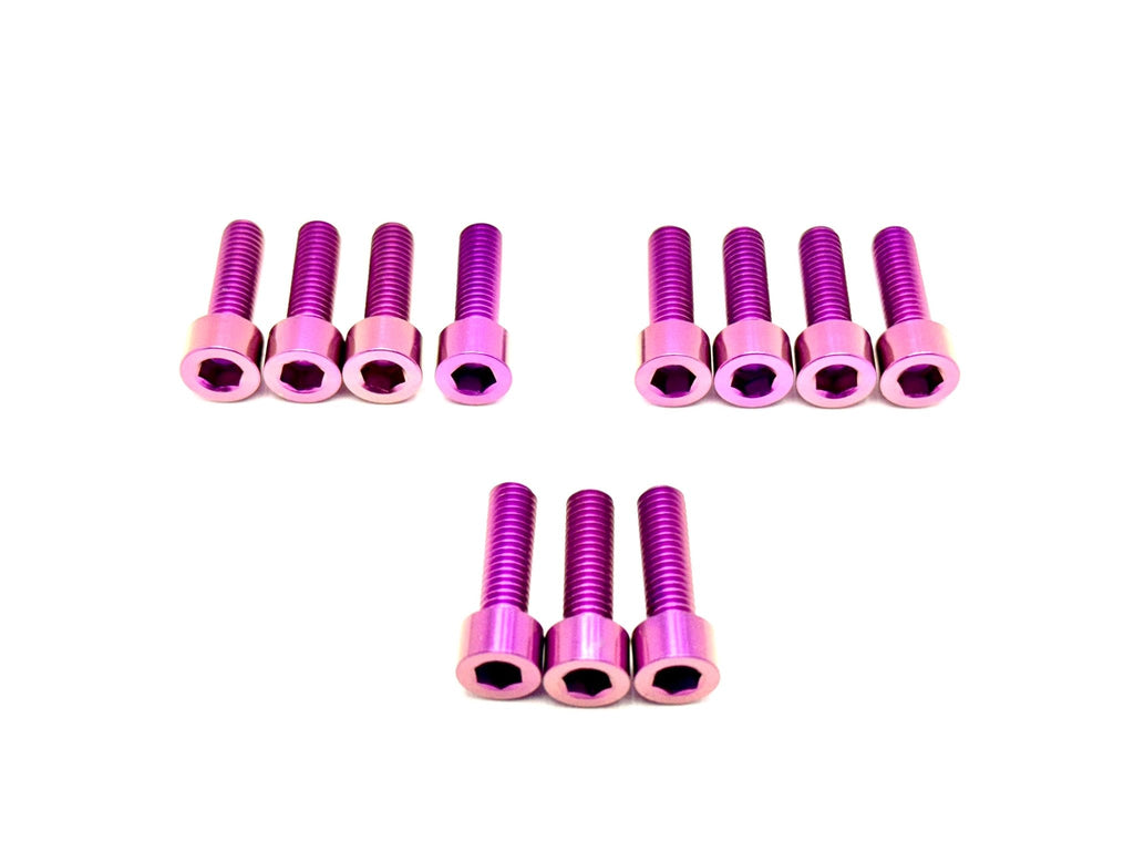 Titanium EXT Ferro Fork 11/17 Piece Bolt Kits - Riot Racing