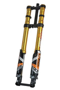 ALX13RC (2.0) FastAce Fork for E-Moto - Riot Racing