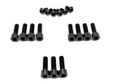 Titanium Manitou Dorado Fork Bolt Kits - Riot Racing