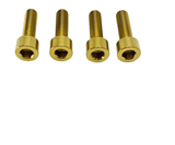 Titanium Caliper Bolt Kit (30mm bolts) Titanium Surron