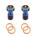 M10 x 1.00 Titanium Banjo Bolt – Grade 5 ( 2 pack ) - Riot Racing