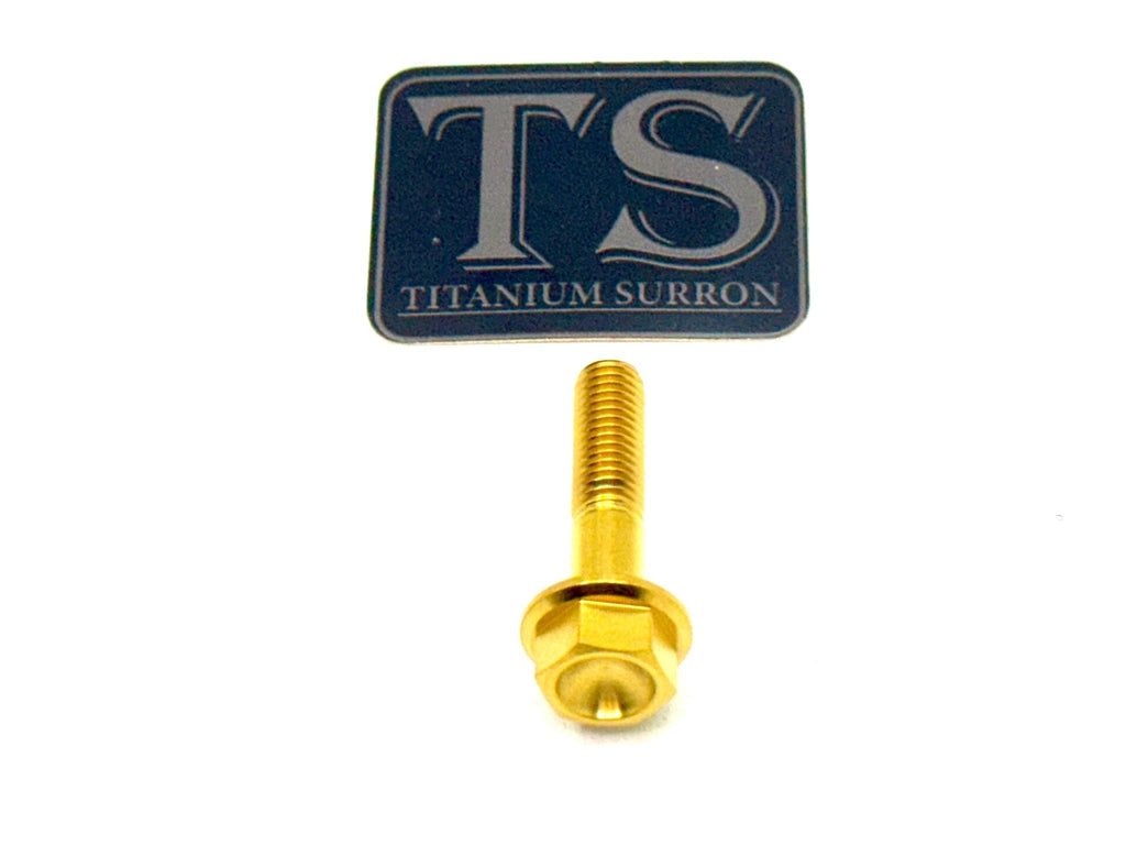 Altis Sigma Gearbox Cover Titanium Bolt Kit - Riot Racing