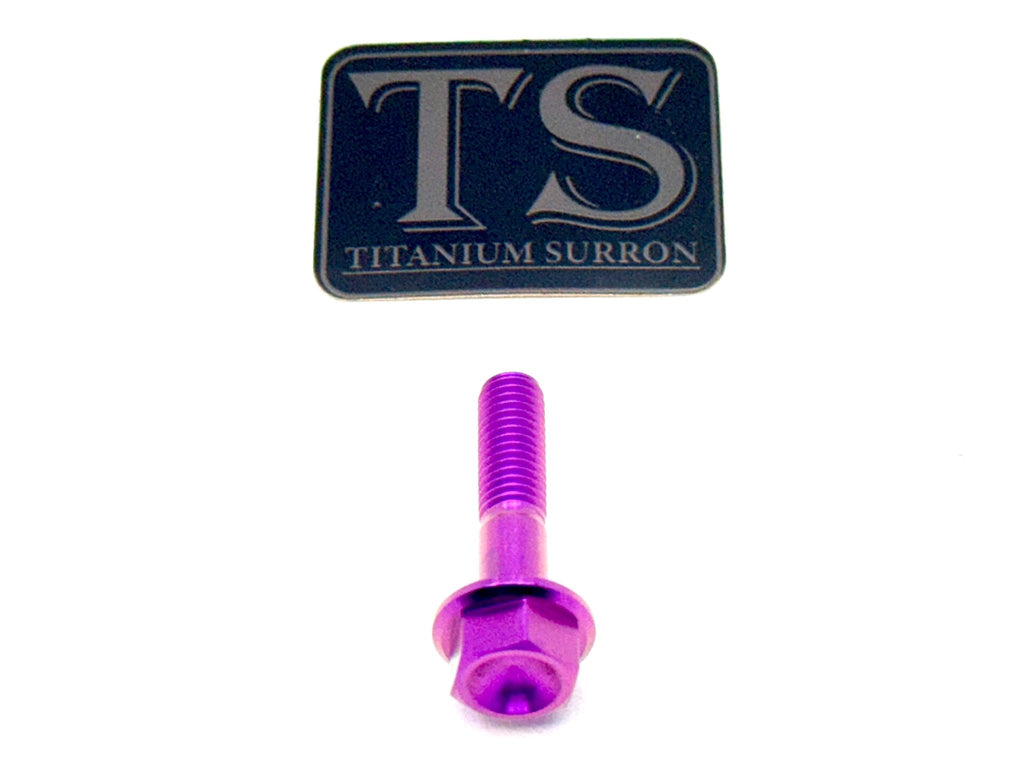 Altis Sigma Gearbox Cover Titanium Bolt Kit - Riot Racing