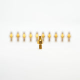 Titanium Prickly Footpeg Pins Prickly Motorsports