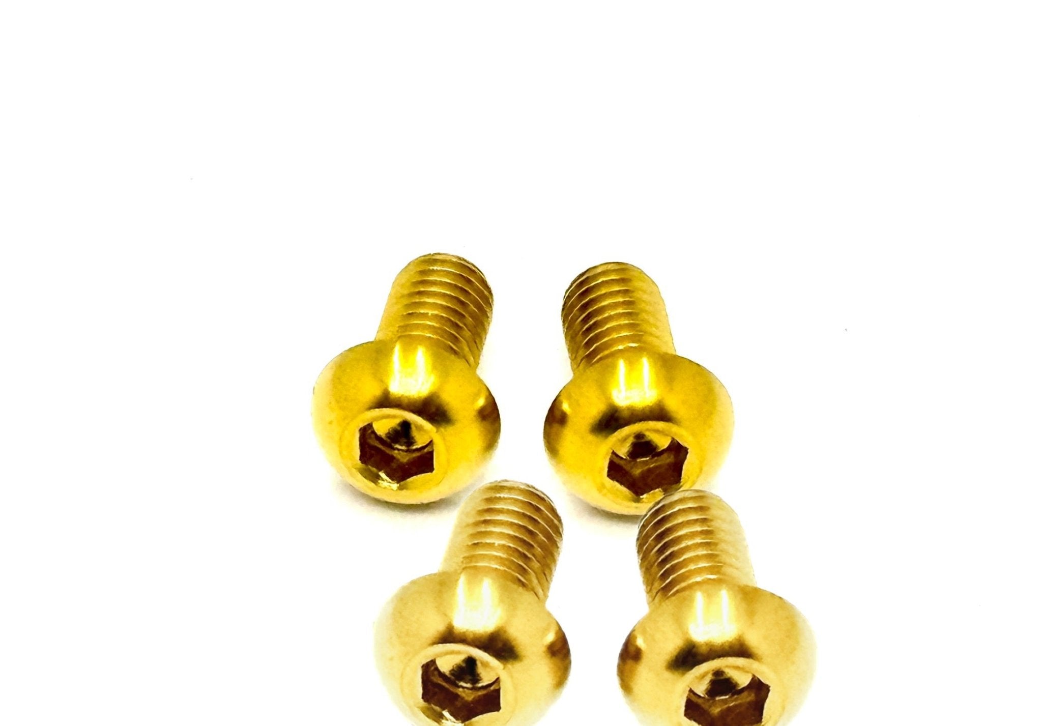 Titanium Controller Mount Bolts for E-moto - Riot Racing
