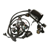 Surron Wiring Harness Light Bee OEM Replacement FactoryZ