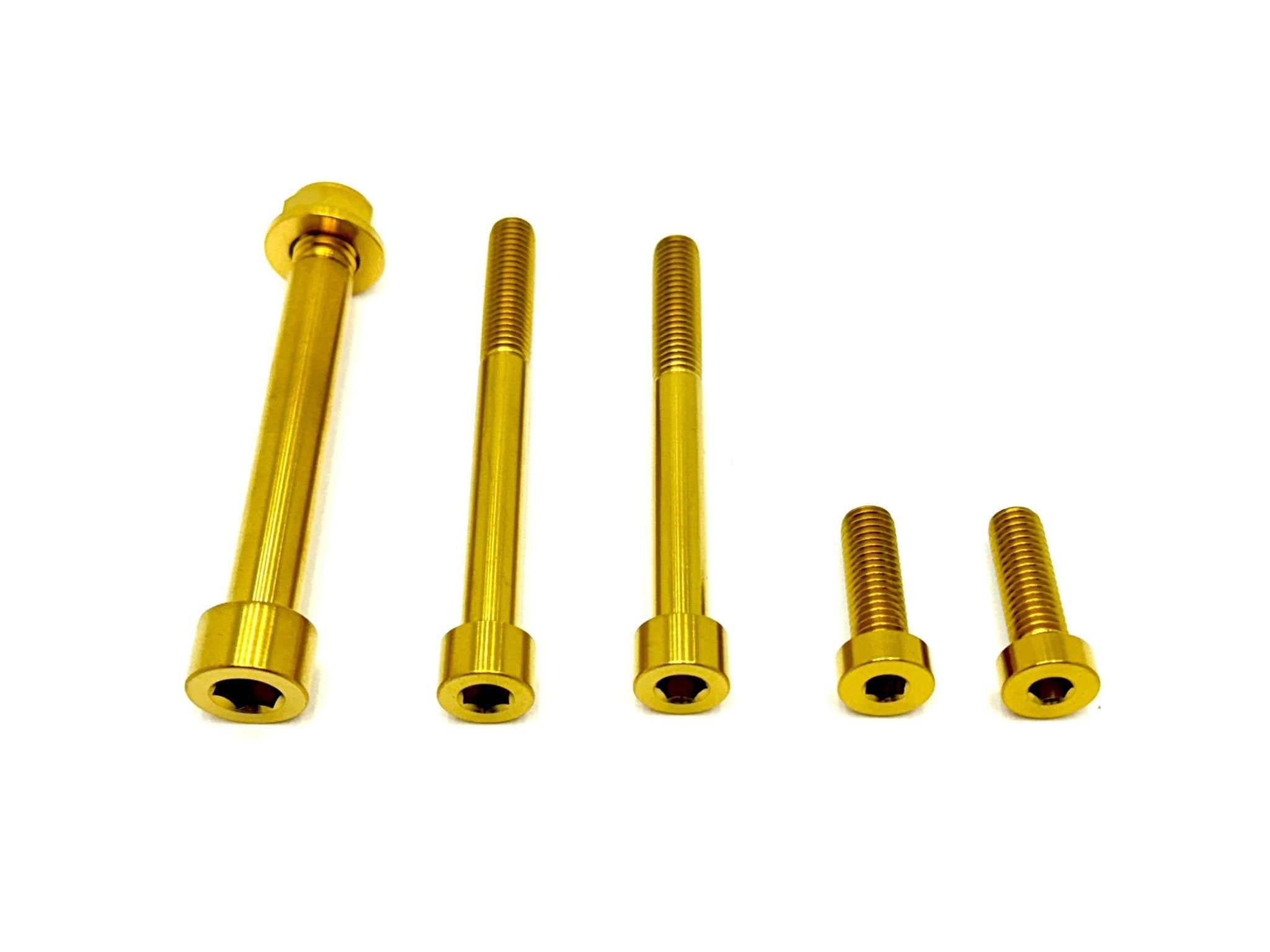 Talaria MX3, MX4 6 Piece Custom Motor / Gearbox Titanium Kit - Riot Racing