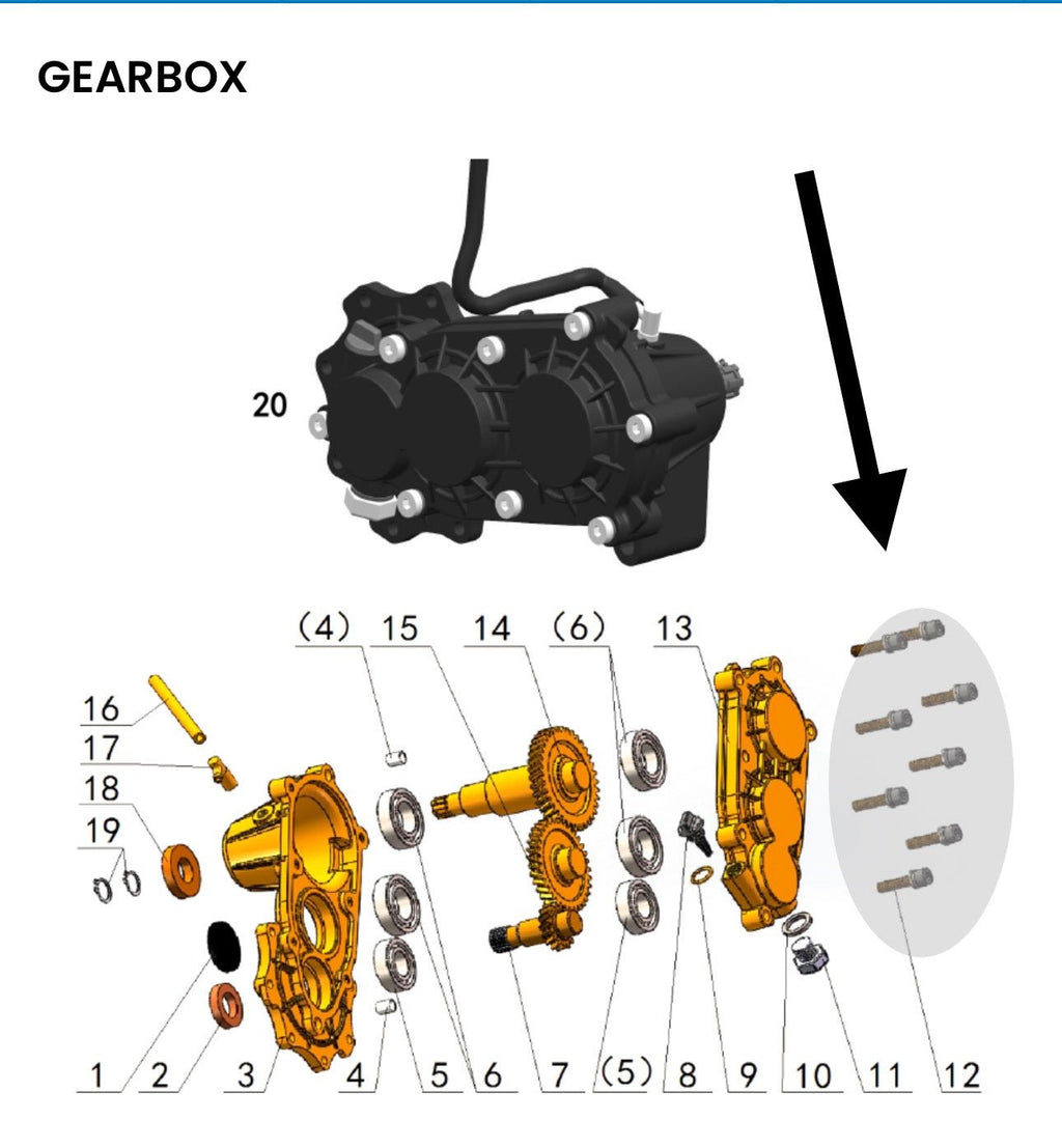 Talaria Sting MX3 MX4 MX5 Gearbox Titanium Bolt Kit - Riot Racing
