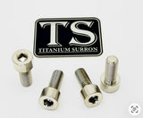 Titanium Axle Pinch Bolts for E-moto Forks Titanium Surron