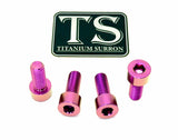 Titanium Axle Pinch Bolts for E-moto Forks Titanium Surron