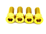 Titanium Bash Guard/ Skid Plate Bolts - Surron LBX and Segway (Set of 4) - Riot Racing