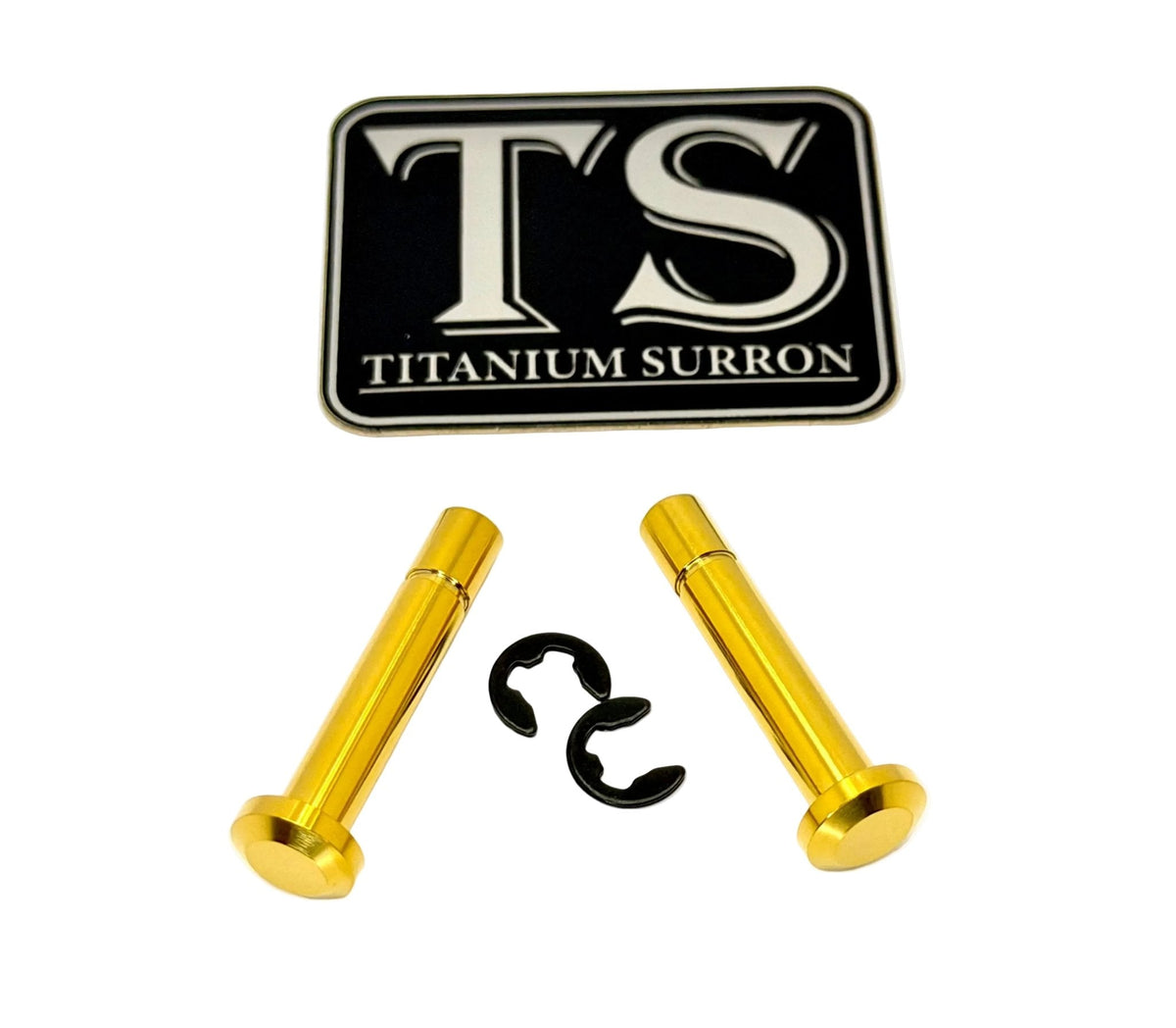 Titanium Battery Lid Pins - Surron LBX, Segway X-260 Titanium Surron