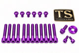 Titanium Bolt Kit for Sirris F43 Fork (22 Pieces) Titanium Surron