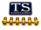 Titanium Bolts for Fork Plastics/ Guards (Most Forks) Titanium Surron