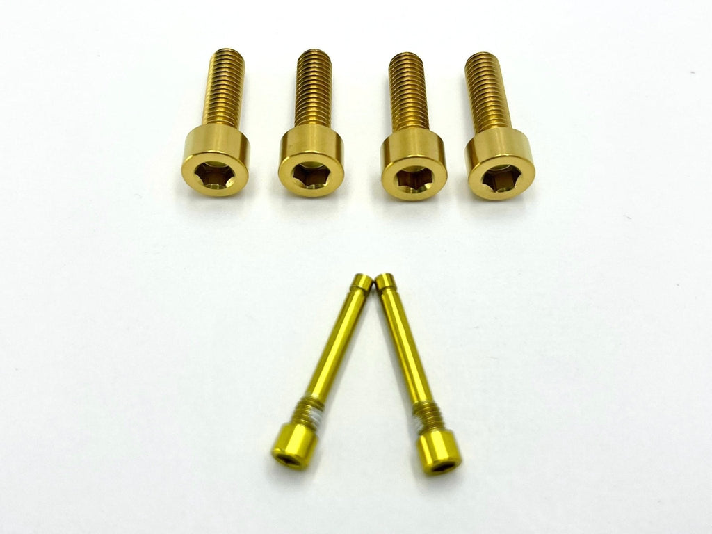 Titanium Caliper Bolt Kit (20mm Bolts) - Riot Racing