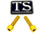 Titanium Caliper Bolts - Surron Ultra Bee Front Only Titanium Surron