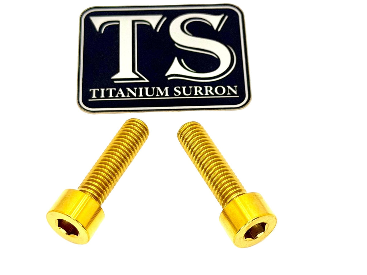 Titanium Caliper Bolts - Surron Ultra Bee Front Only Titanium Surron