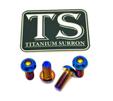 Titanium Controller Mount Bolts for E-moto Titanium Surron