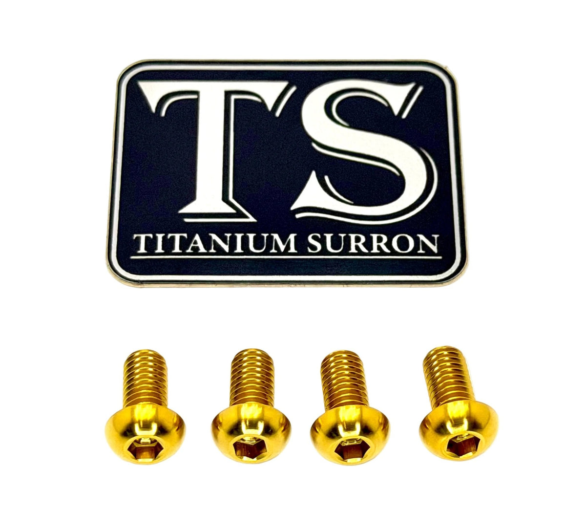 Titanium Controller Mount Bolts for E-moto Titanium Surron