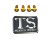 Titanium E-Moto Headlight Mount Bolts Titanium Surron
