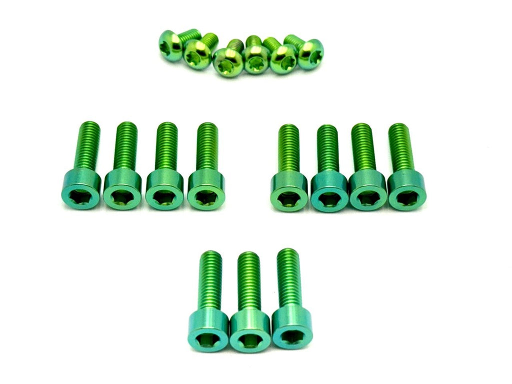 Titanium EXT Ferro Fork 11/17 Piece Bolt Kits - Riot Racing