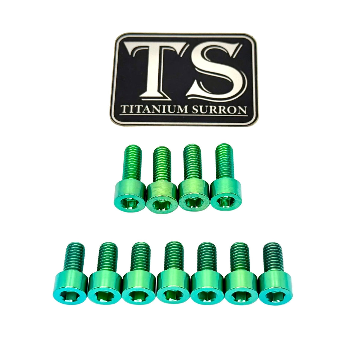 Titanium EXT Ferro Fork Bolt Kits Titanium Surron