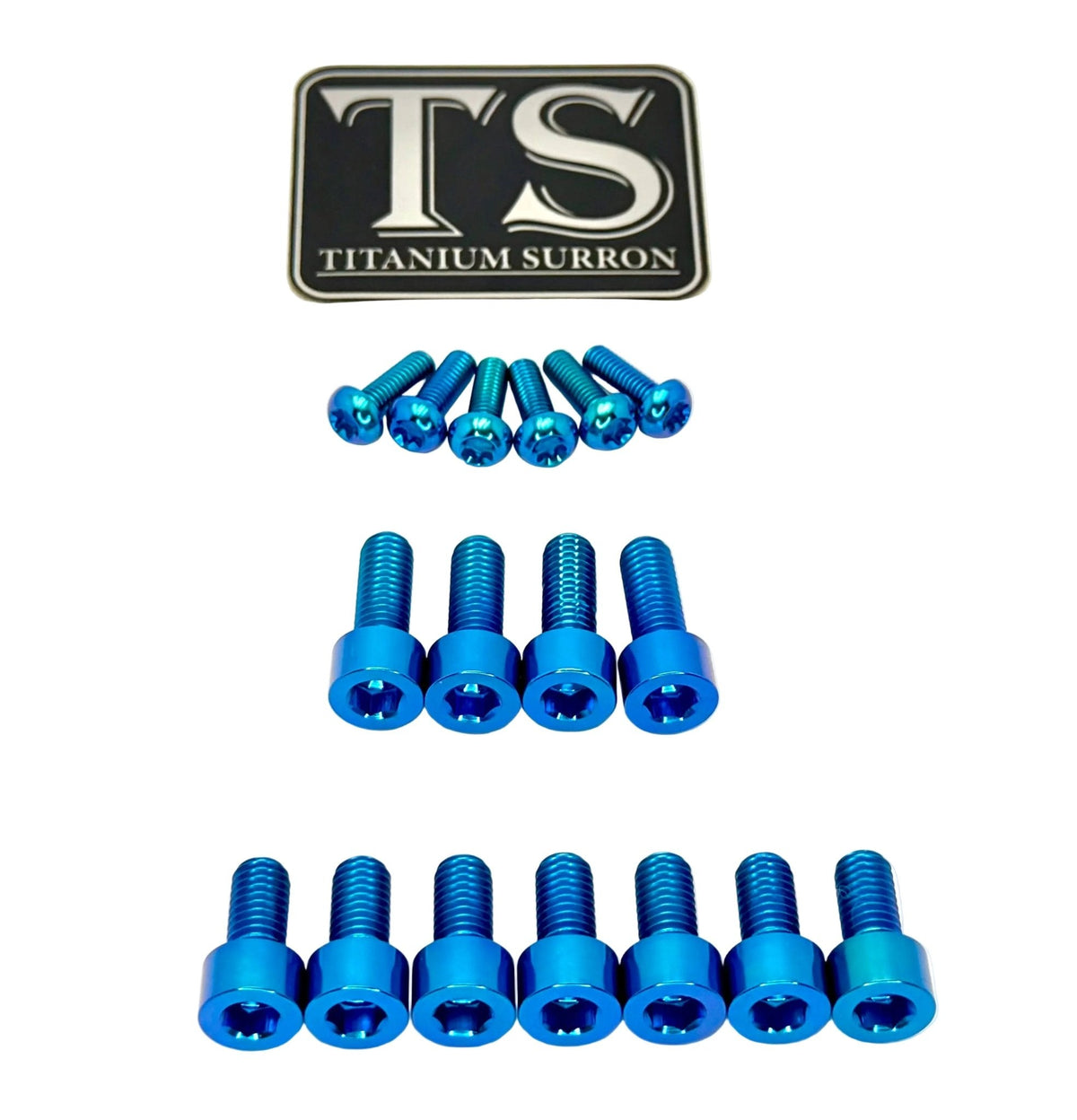 Titanium EXT Ferro Fork Bolt Kits Titanium Surron