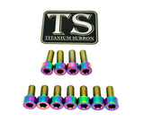 Titanium EXT Ferro Fork Bolt Kits Titanium Surron