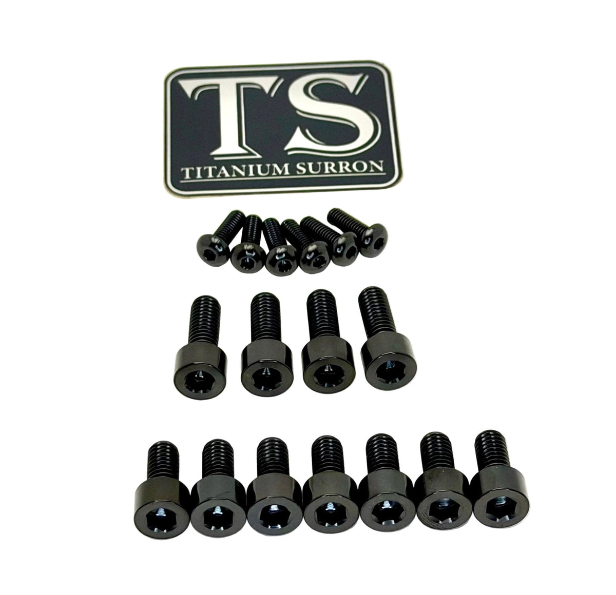 Titanium EXT Ferro Fork Bolt Kits Titanium Surron