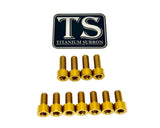 Titanium EXT Ferro Fork Bolt Kits Titanium Surron
