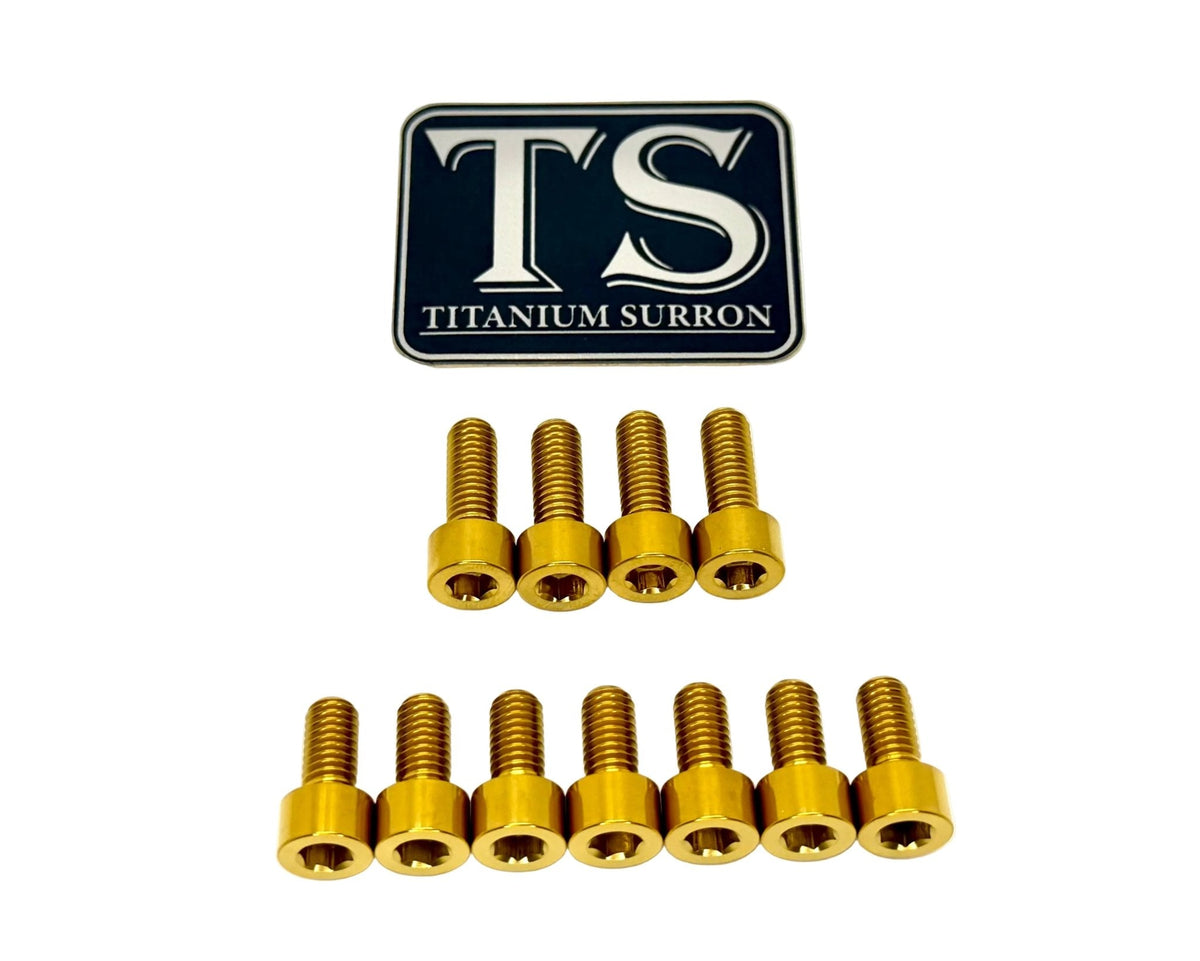 Titanium EXT Ferro Fork Bolt Kits Titanium Surron