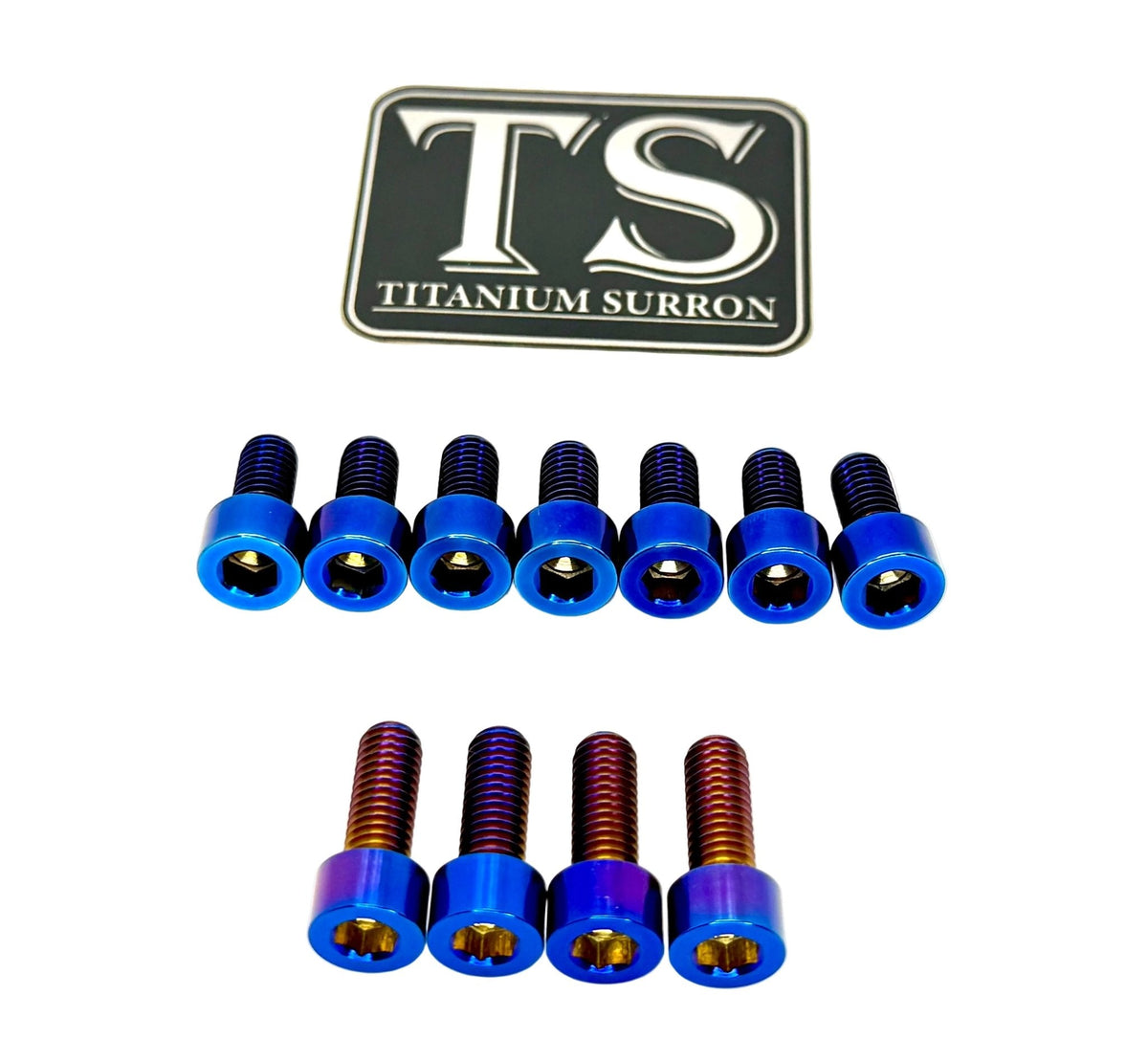 Titanium EXT Ferro Fork Bolt Kits Titanium Surron