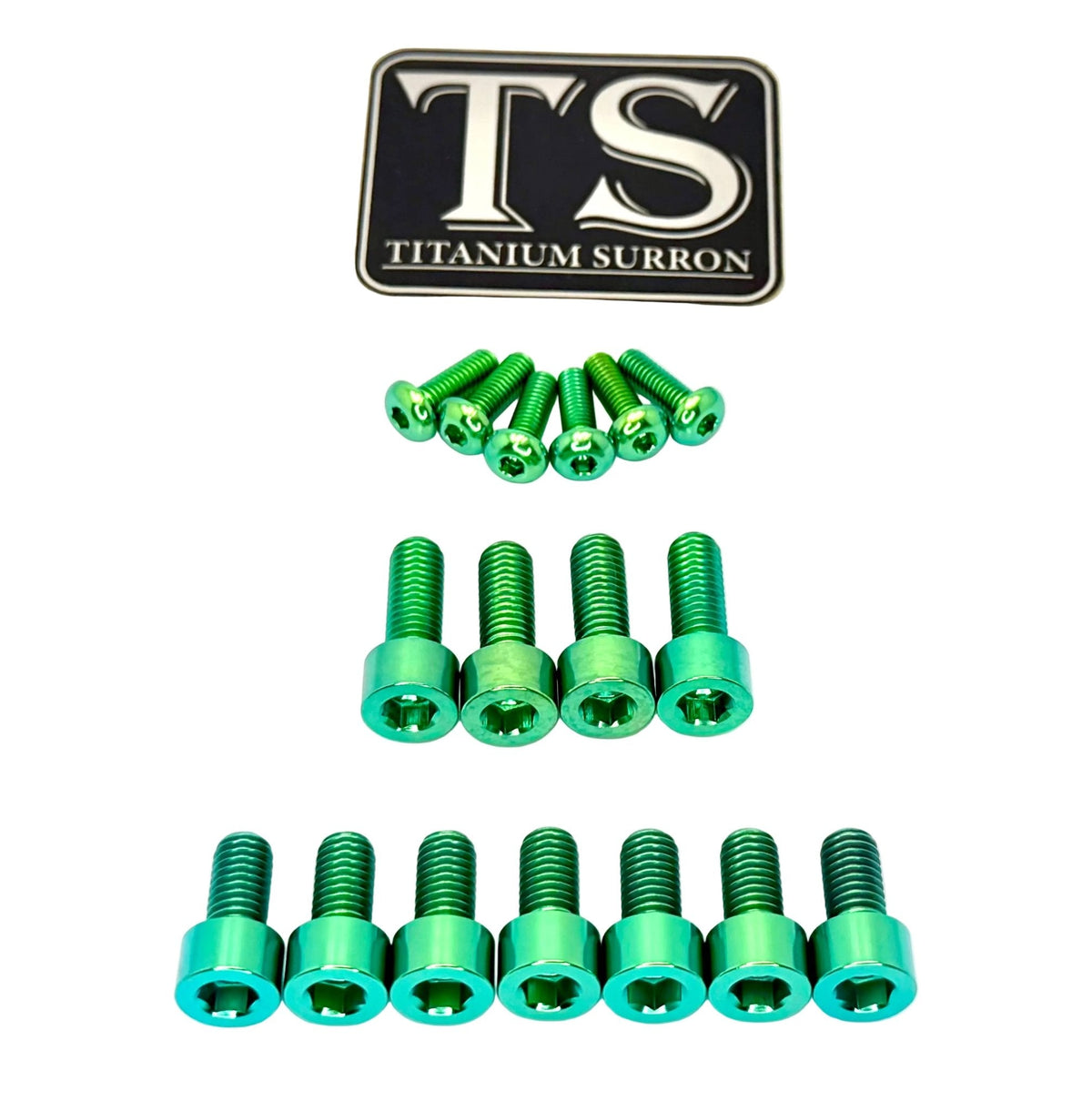 Titanium EXT Ferro Fork Bolt Kits Titanium Surron