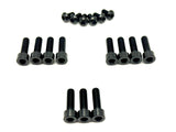 Titanium FastAce Fork Bolt Kits (All Models) Titanium Surron