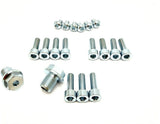 Titanium FastAce Fork Bolt Kits (All Models) Titanium Surron
