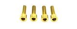 Titanium E-Moto Brake Handle-Mount Bolts Titanium Surron