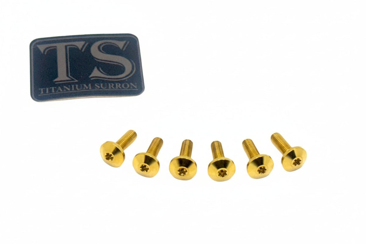 Titanium Front Rotor Bolts - E-Moto Titanium Surron