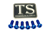 Titanium Front Rotor Bolts - E-Moto Titanium Surron