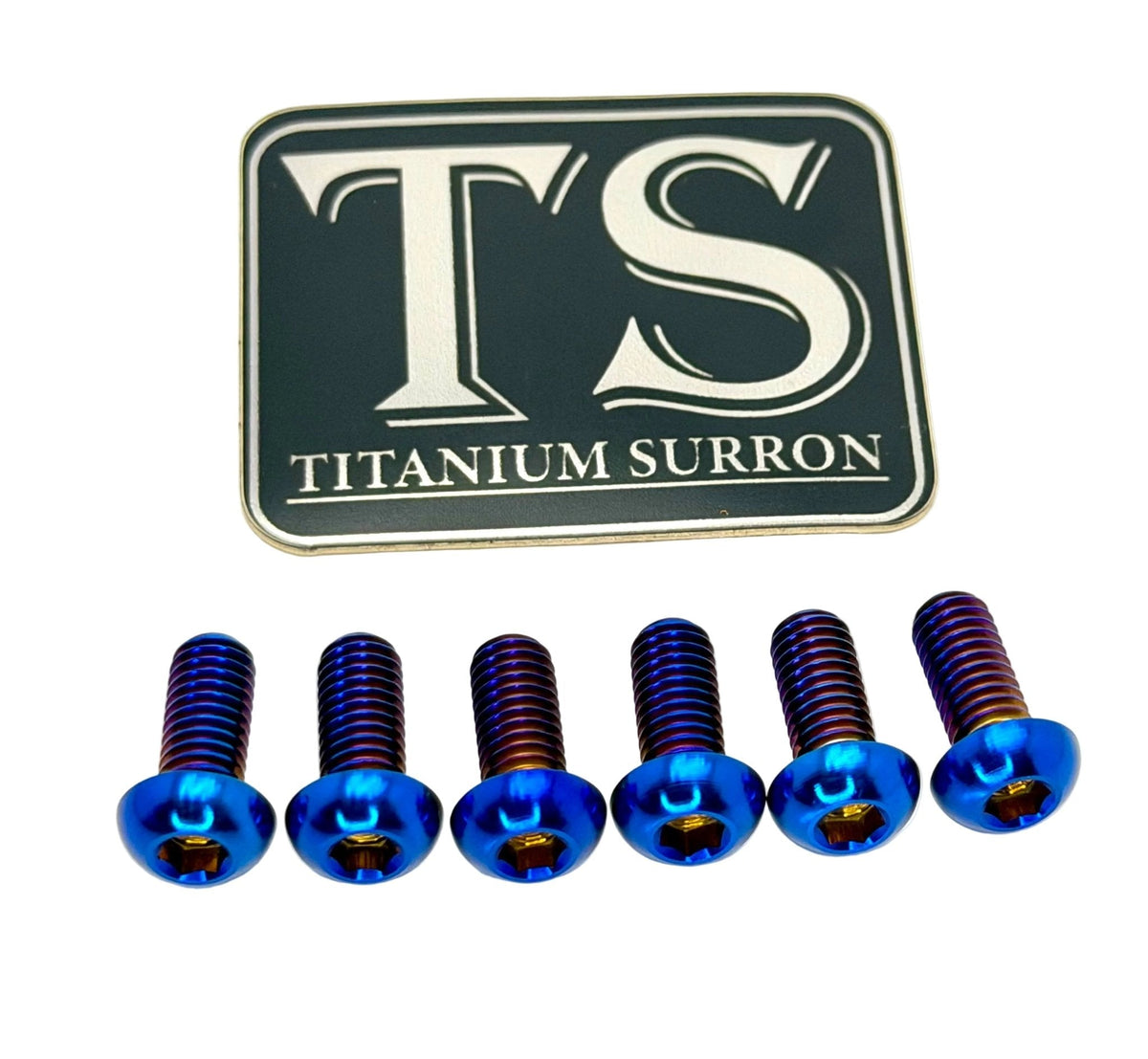 Titanium Front Rotor Bolts - E-Moto Titanium Surron