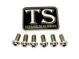 Titanium Front Rotor Bolts - E-Moto Titanium Surron