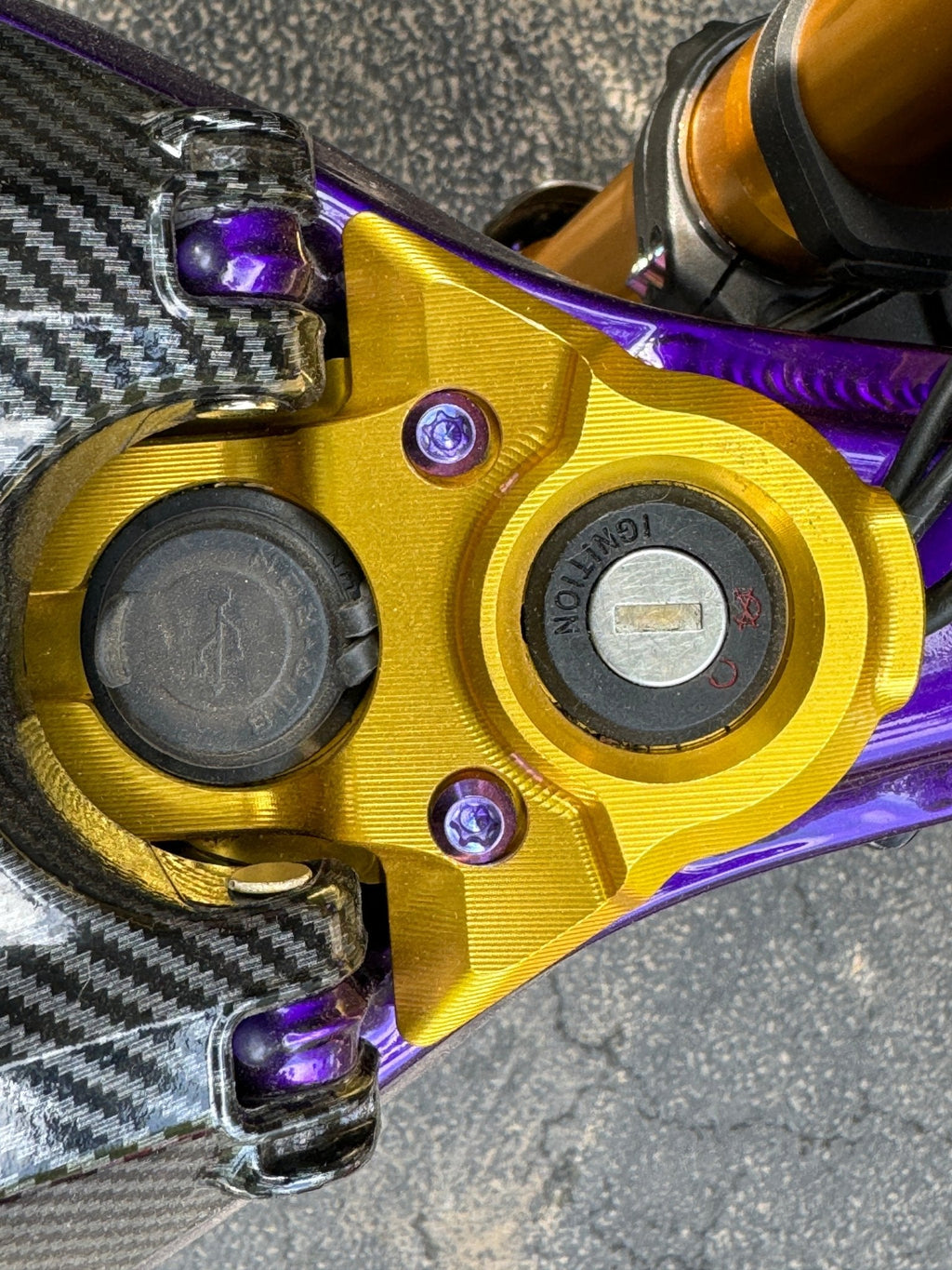 Titanium Ignition Cover Bolts (Set of Two) Surron, Segway, Similar E-moto - Riot Racing