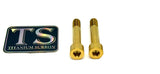 Titanium Motor Bolts - Rerode R1 - Riot Racing