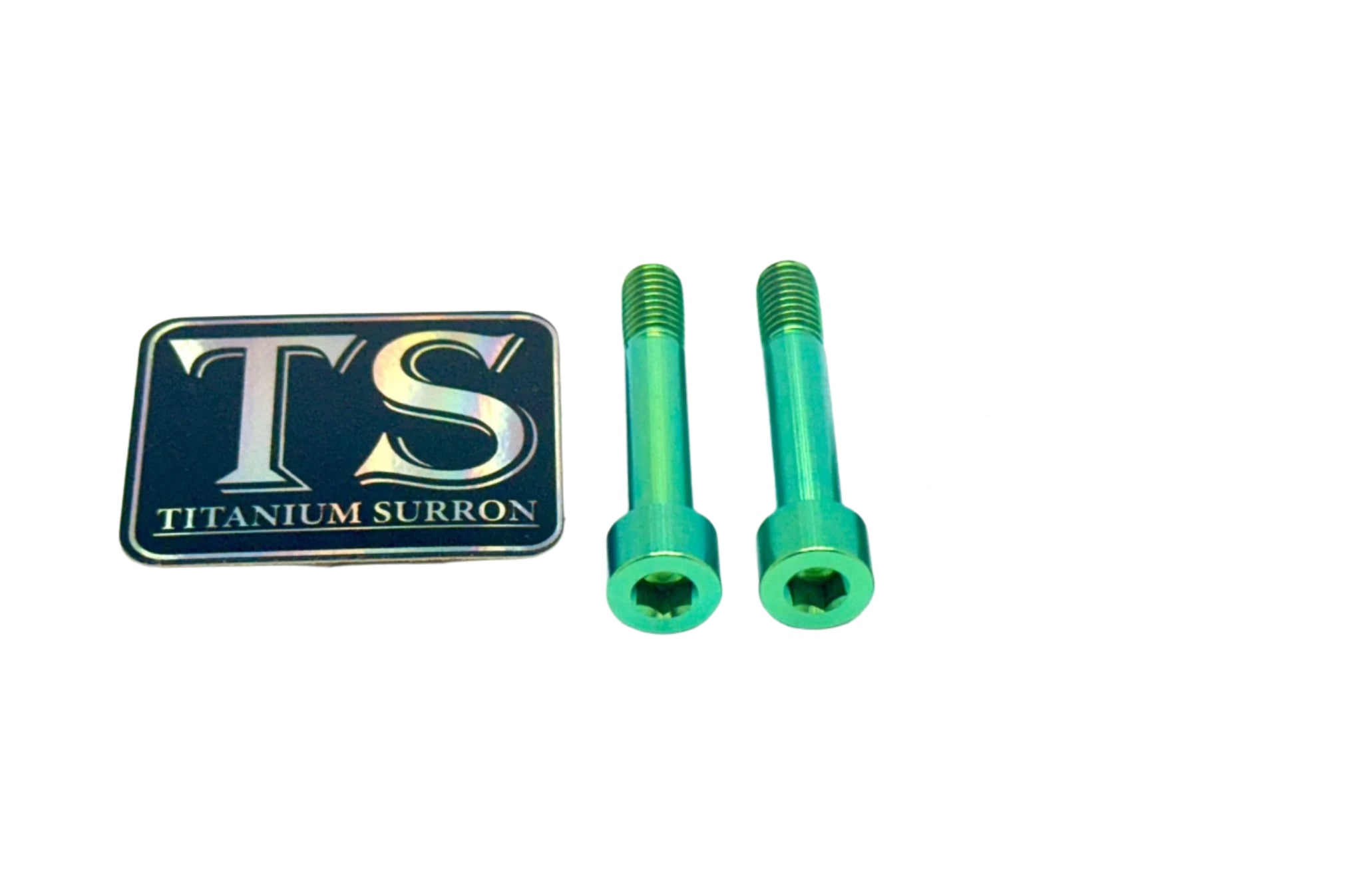 Titanium Motor Bolts - Rerode R1 - Riot Racing